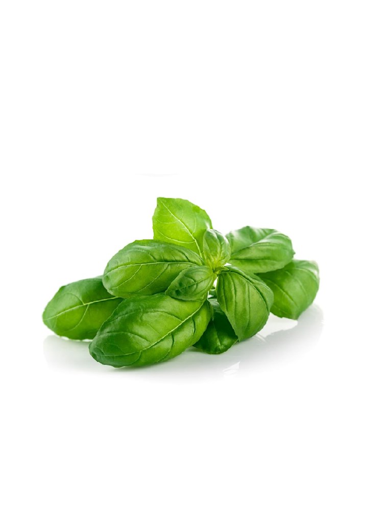 Basil Raw